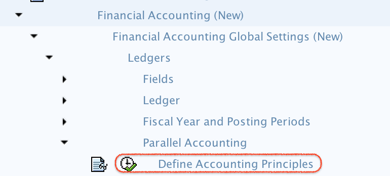 Define accounting principles SAP Path