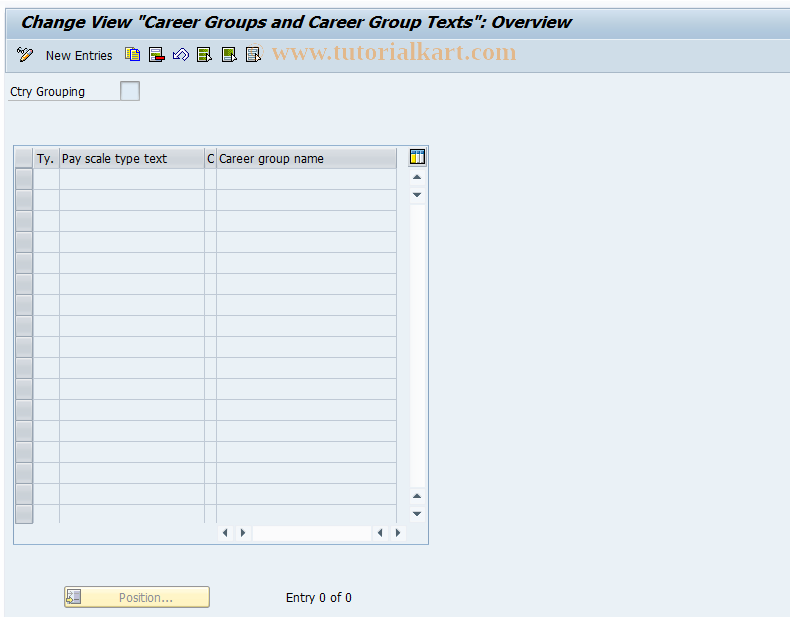 SAP TCode 0PM3 - Define Career Groups and Texts
