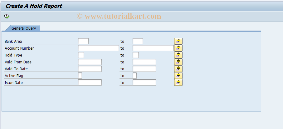 SAP TCode BCA_US_DS_HOLD - Create a Detailed Hold Report