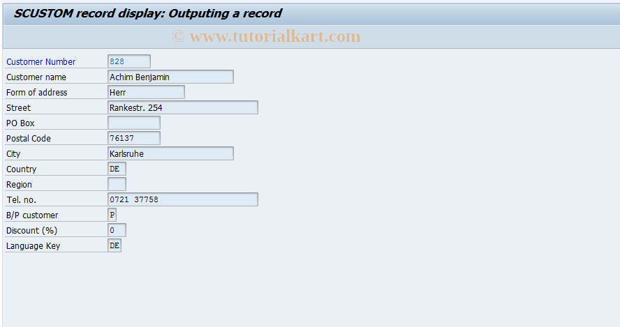 SAP TCode BC_GLOBAL_SCUST_DISP - Display SCUSTOM records