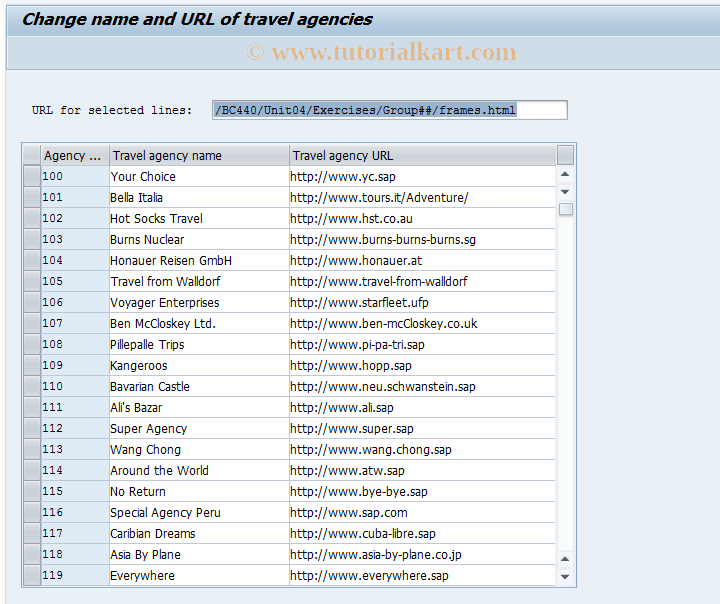 SAP TCode BC_TOOLS_AGENCY - Change travel agency name and URL