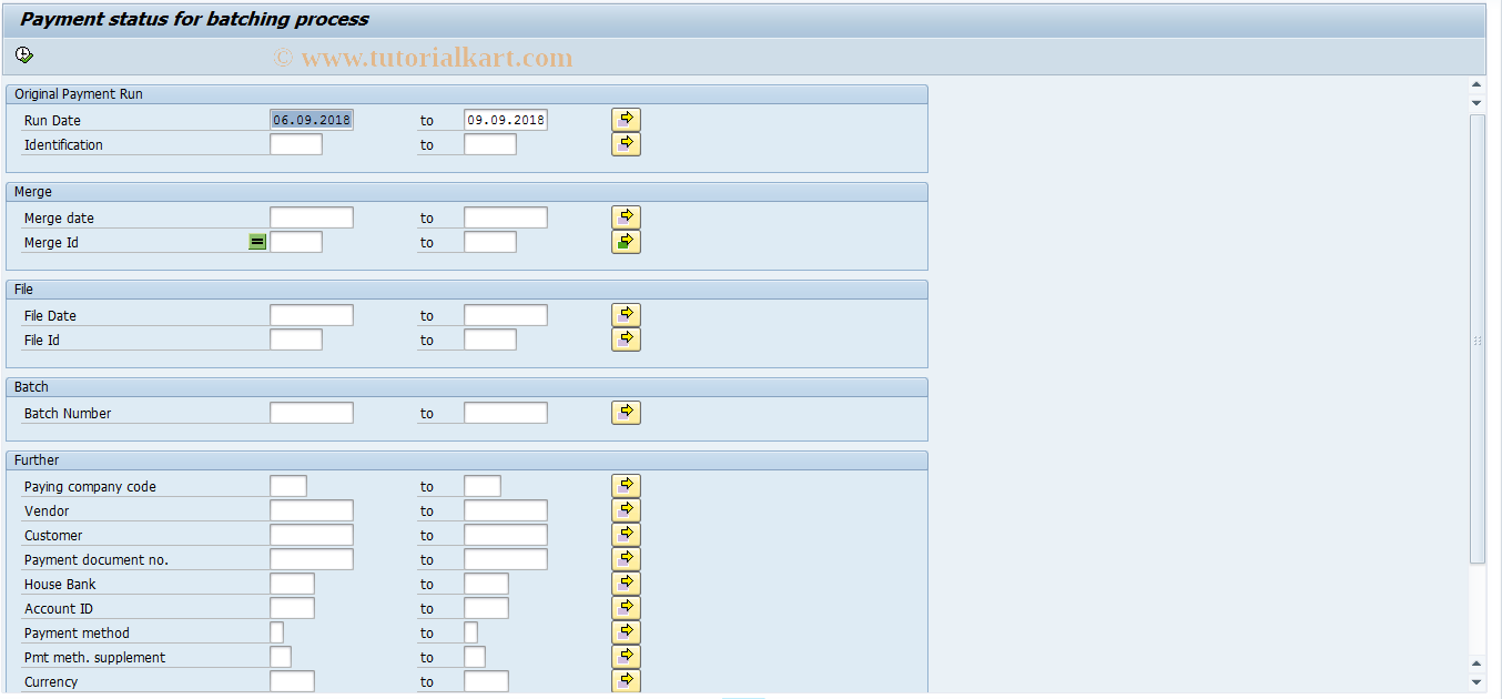 SAP TCode BNK_MONIP - Payment status (batching)