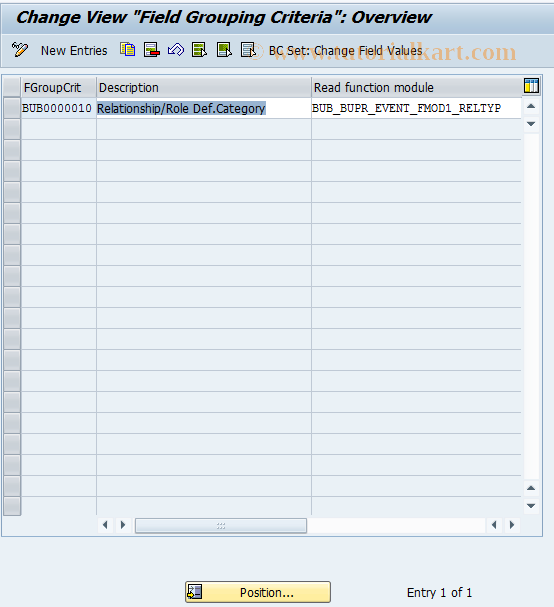 SAP TCode BUBO - BuPR: Field Grouping (Criteria)