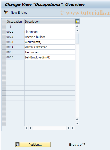 SAP TCode BUCL - BP Cust: Occupation/Group