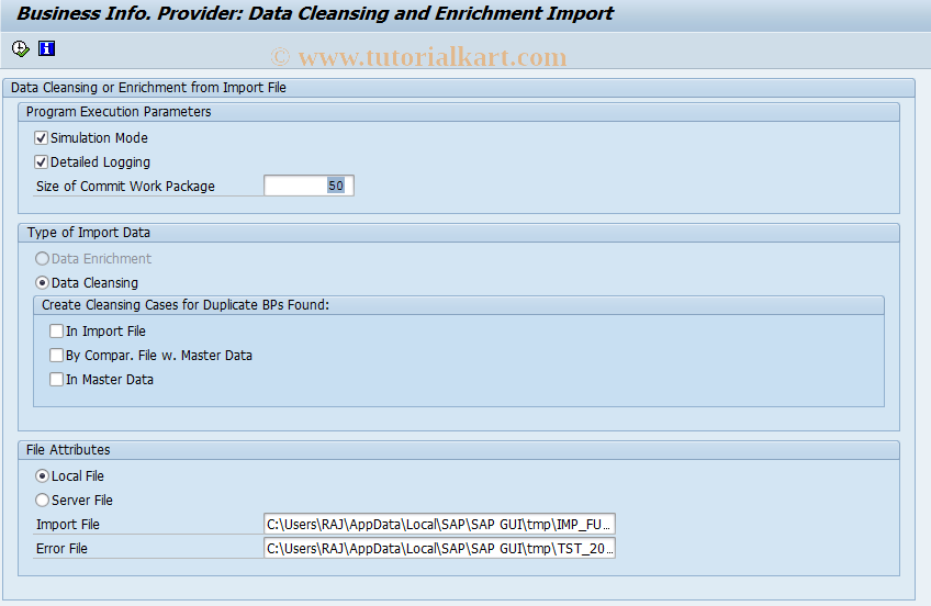 SAP TCode BUPA_BIP_FILE_IMPORT - BIP:  Cleansing - Import