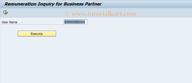 SAP TCode CACSACCN - Remuneration Inquiry for BusPartner