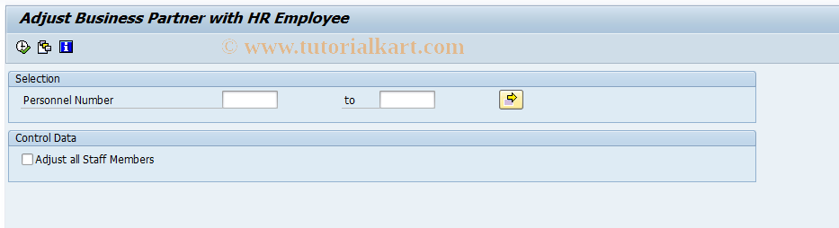 SAP TCode CACS_ADJ_HR_PARTNER - Compare BP with HR Staff