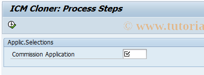 SAP TCode CACS_CLONE_SHOW - Application Cloner: Process Steps