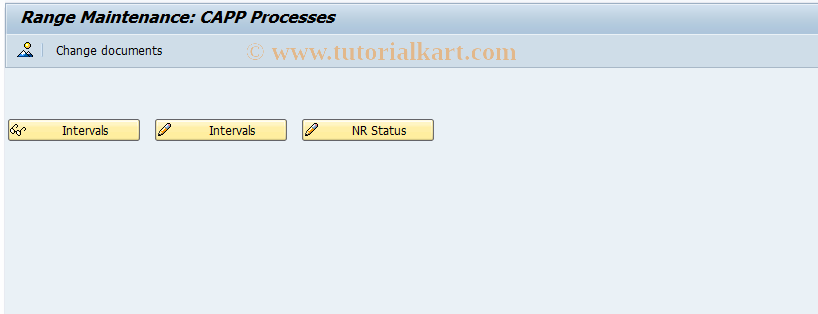 SAP TCode CEVV - Number ranges for CAPP processes