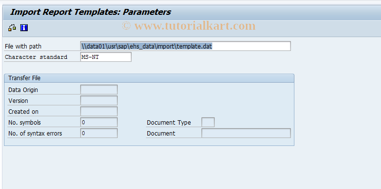 SAP TCode CG34 - Import Report Template