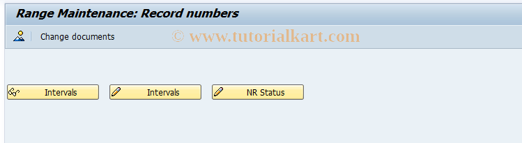 SAP TCode CGB2 - EHS: Number range maintenance record number 