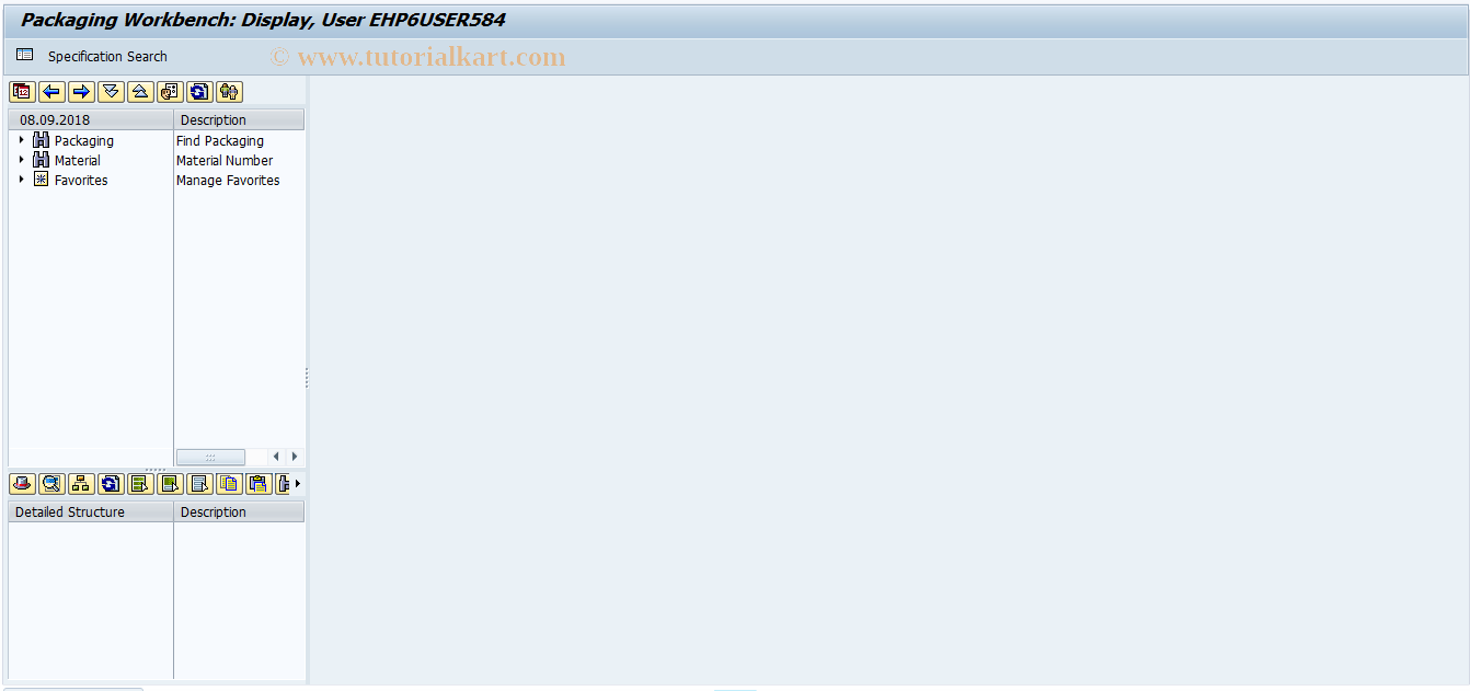 SAP TCode CGE2 - Packaging Workbench