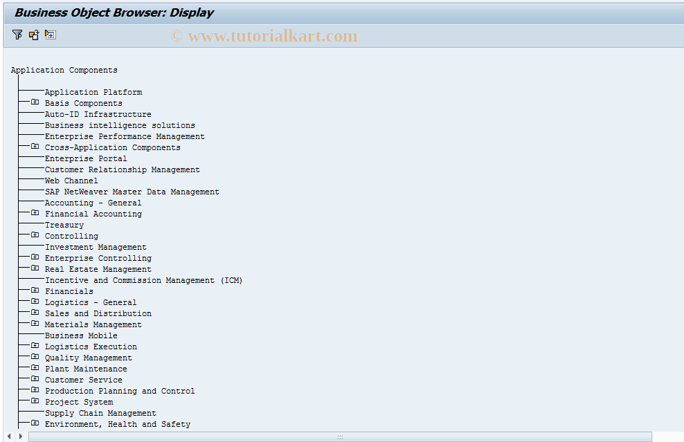 SAP TCode CLBOR - Display BOR library