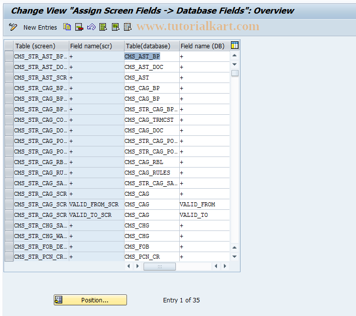 SAP TCode CMS_CUS_BDT_011 - CMS Control: Asn.scrn.fld->dbase fld