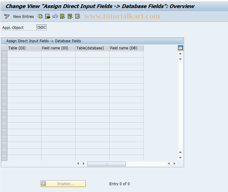 SAP TCode CMS_CUS_BDT_021 - CMS control: Assign.DI field->DB fld