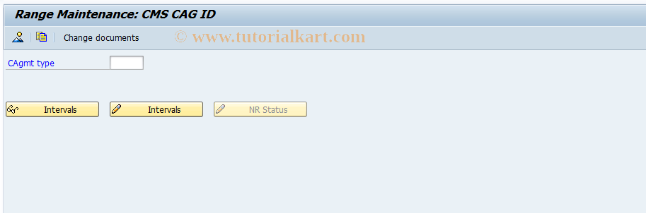 SAP TCode CMS_CUS_CAG_NUMRANGE - Number range maintenance: CMS_CAGMT