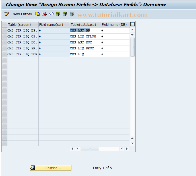 SAP TCode CMS_CUS_LIQ_BDT_011 - CMS Control: Applications