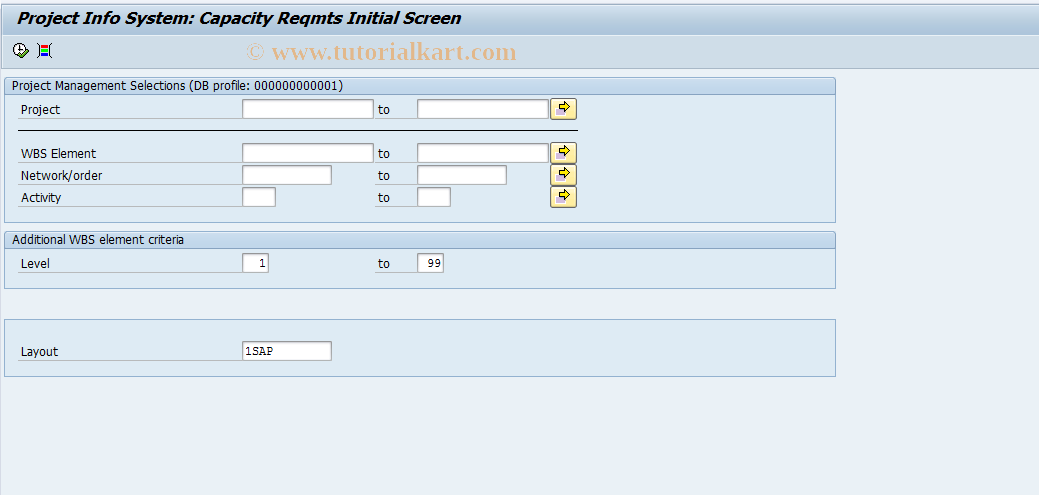 SAP TCode CN50N - Overview: Capacity Requirements