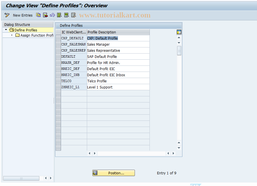 SAP TCode CRMC_IC_MAIN - Define IC WebClient Profiles