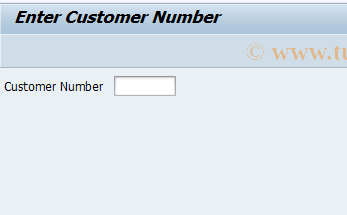 SAP TCode DRCUSTOM - Booked Flights for Customer