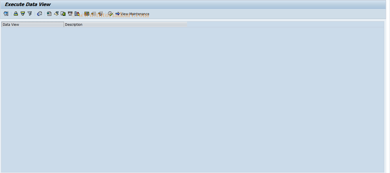 SAP TCode DXXVW - Execute Data View