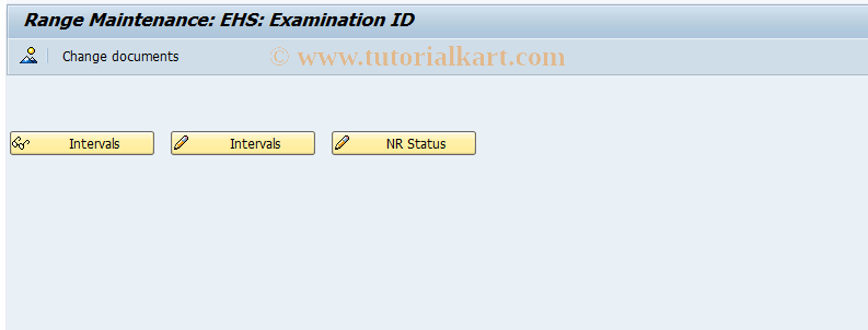 SAP TCode EHSH_C_NR_EXA_CO - Number Ranges Examination ID