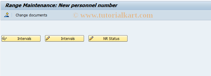 SAP TCode EHSH_C_NR_NEWPER - Number Ranges Internal Personnel Number 