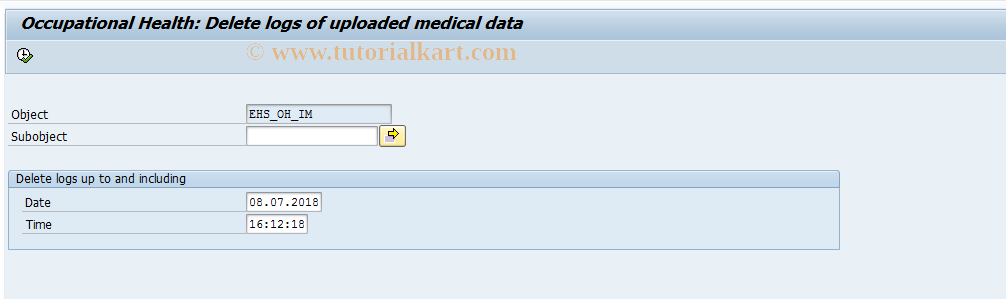 SAP TCode EHSPRLOE - Delete Med. D. Import Logs