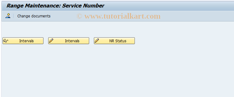 SAP TCode EHSSERV11 - Number Range Maintenance Medical Service