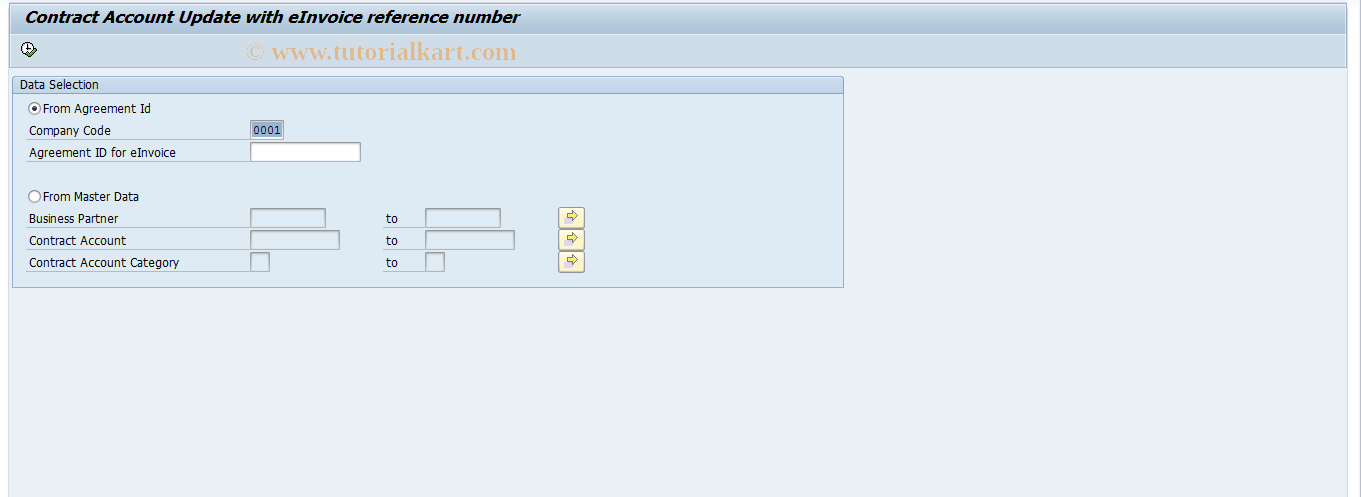 SAP TCode EINV_MASS - Mass update of CA with einvoice ref