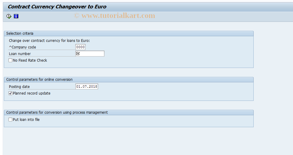 SAP TCode EMU1 - Convert Loans to EURO