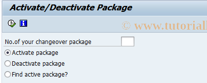 SAP TCode EWT2 - Activate a Changeover Package