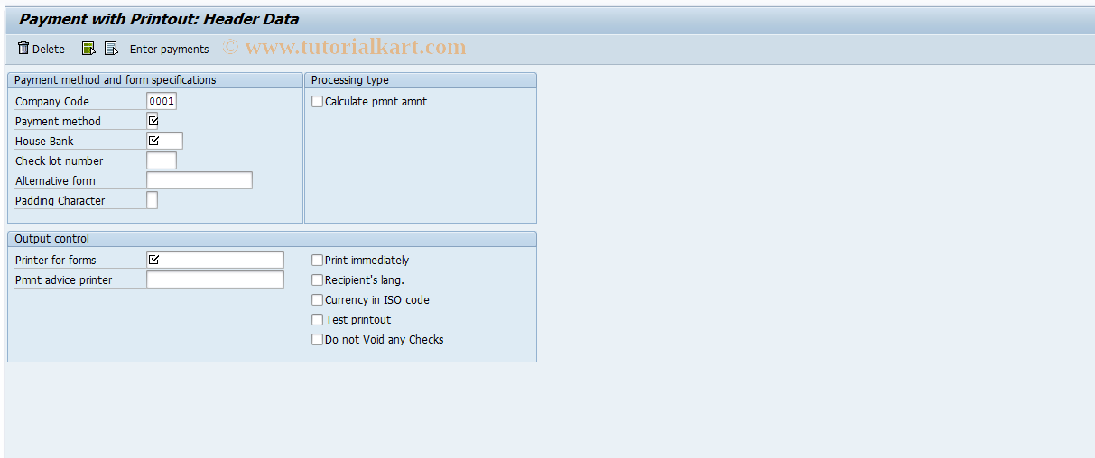 SAP TCode F-18 - Payment with Printout