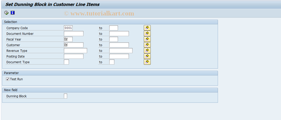 SAP TCode F8P2 - Dunning Block in Customer Line Items