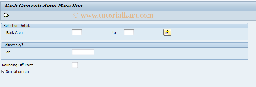 SAP TCode F9H6 - Cash Concentration: Mass Run