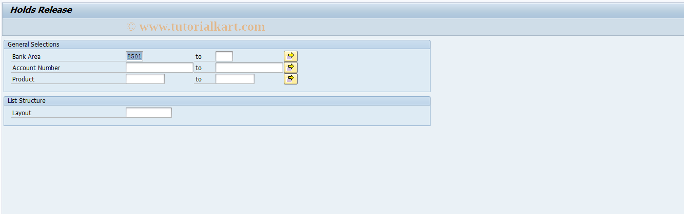 SAP TCode F9HLDREL - Release Holds requiring Dual Control