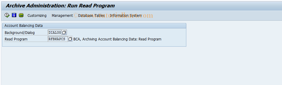 SAP TCode F9TI - Reading Actual Balancing Data Archive