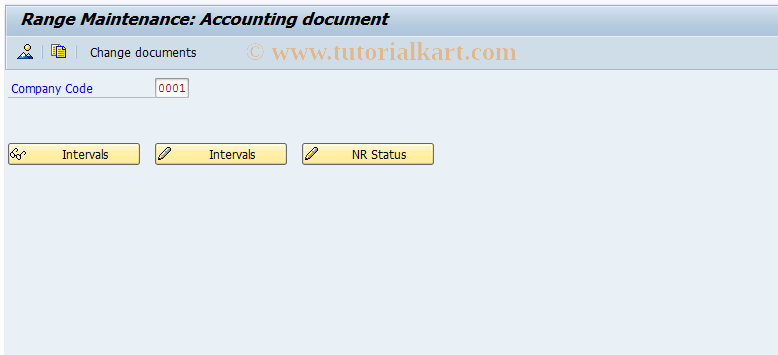 SAP TCode FAGL_BELNR - Number Range Maintenance for Source Document 