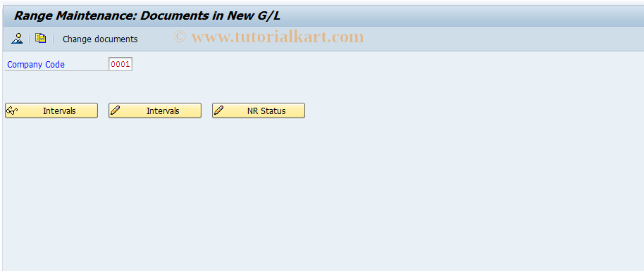 SAP TCode FAGL_DOCNR - Number Range Maintenance for Document Number