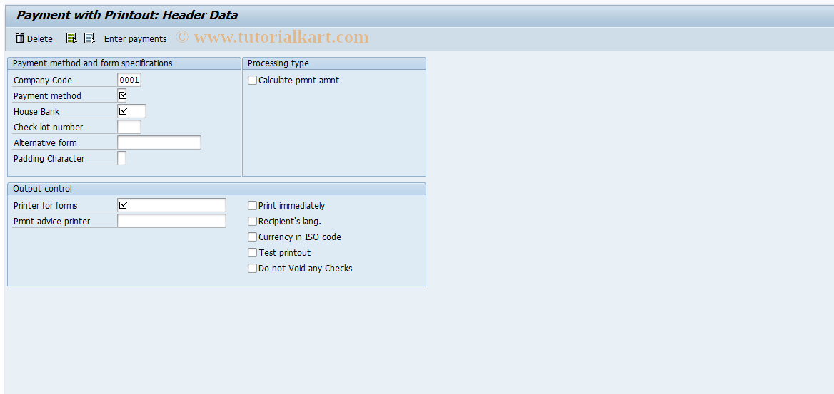SAP TCode FBZ4 - Payment with Printout