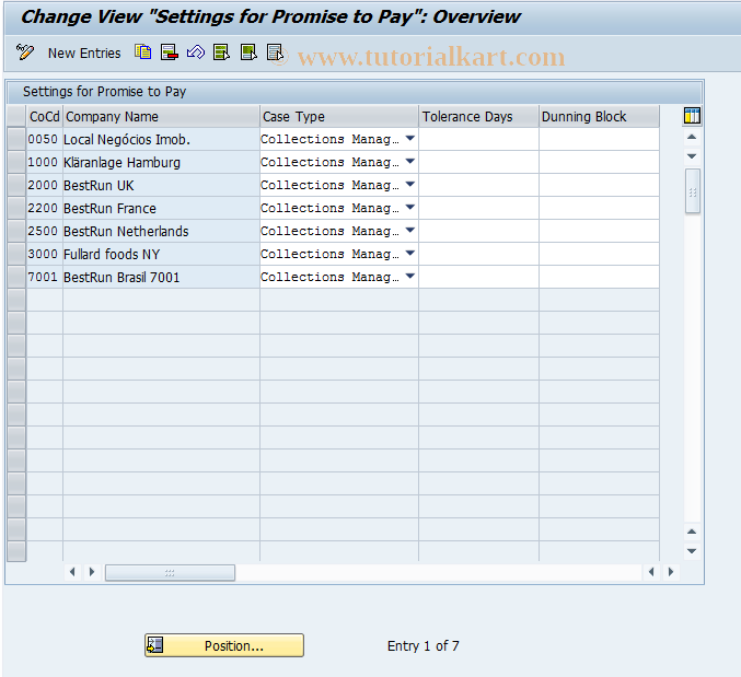 SAP TCode FDM_CUST05 - Case Type for Promise to Pay