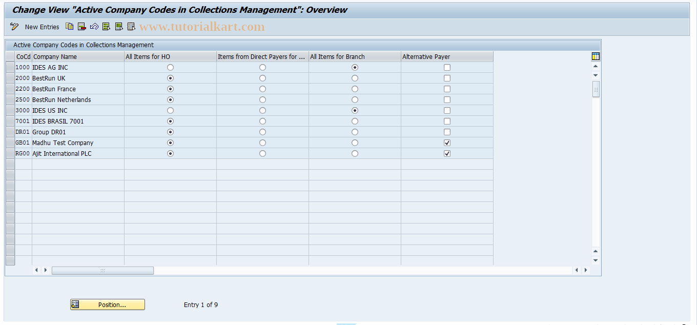 SAP TCode FDM_CUST15 - Maintain Active Company Codes