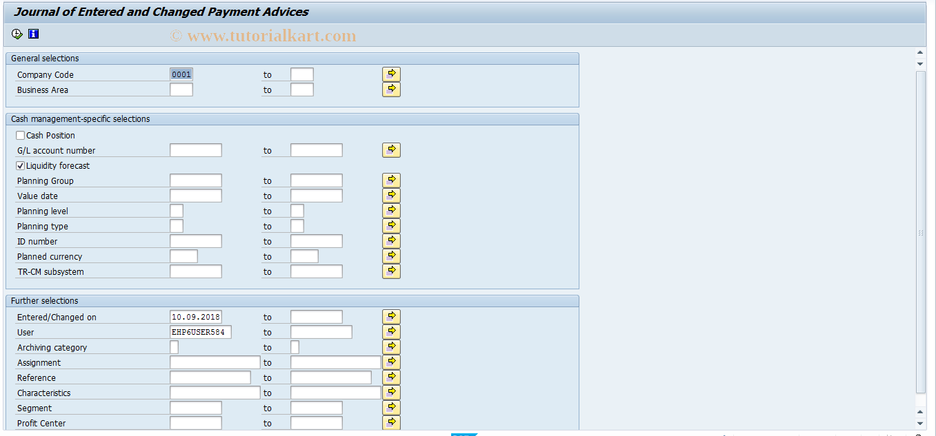 SAP TCode FF-7 - Planned Item Journal