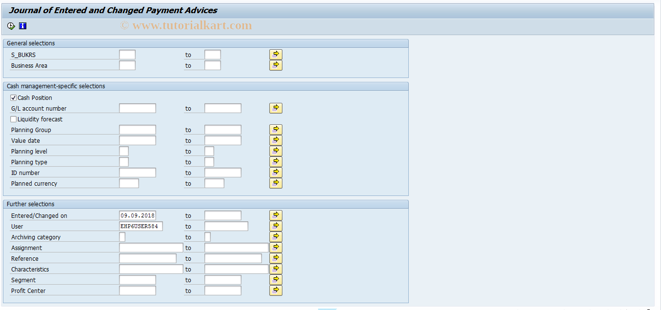 SAP TCode FF-8 - Payment Advice Journal
