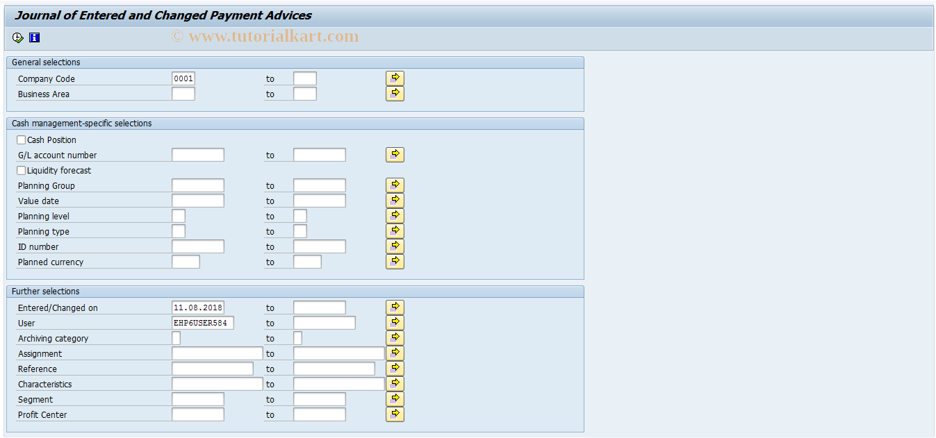 SAP TCode FF-9 - Journal