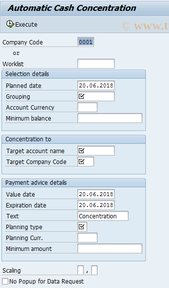 SAP TCode FF73 - Cash Concentration