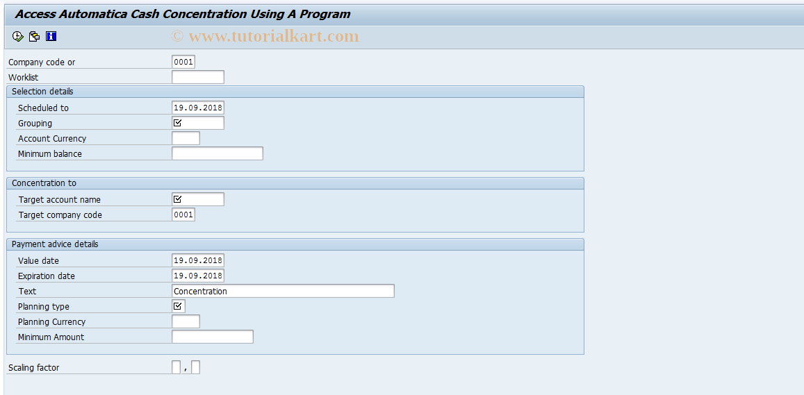 SAP TCode FF74 - Use Program to Access Cash Concntn
