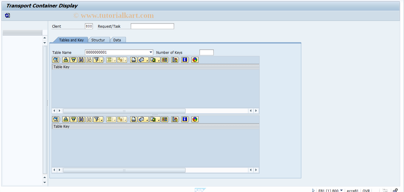 SAP TCode FINB_TR_DISPLAY - Transport Container Display