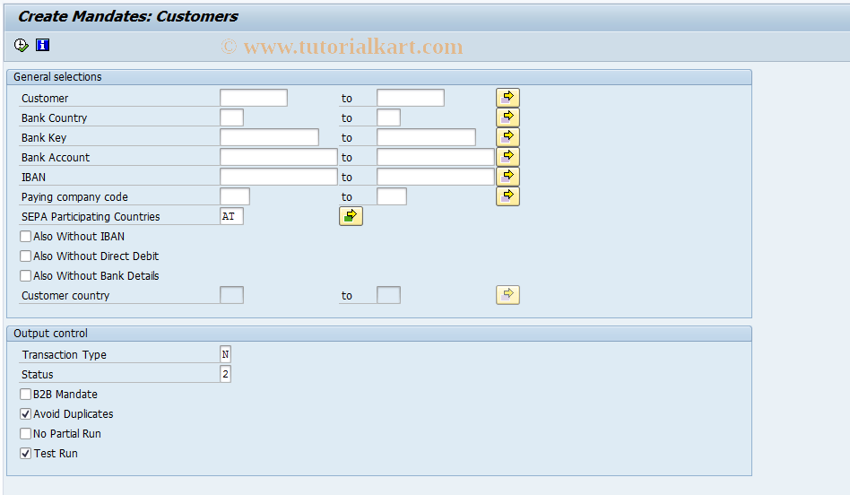 SAP TCode FI_APAR_SEPA_CONV - Create SEPA Mandates in Mass Run