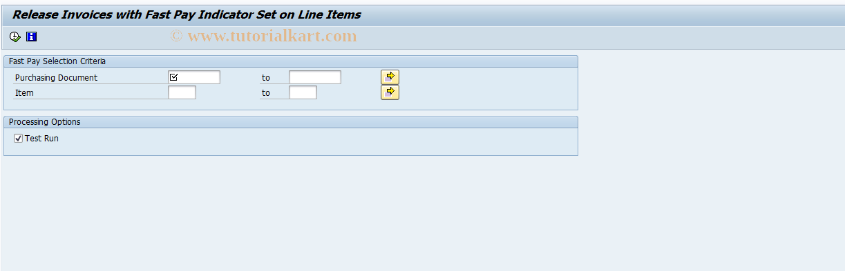 SAP TCode FMFG_FP_REL_LIV - Release Blocked Fast Pay Invoices